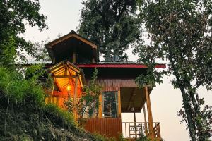 Tree House Jibhi