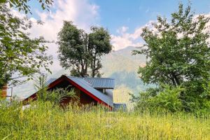 Tree House Jibhi